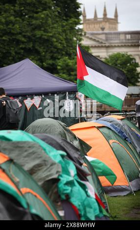 Cambridge, England, UK. 23rd May, 2024. A Palestinian flag flies over the People's Universi. Shop workers from the Grand Arcade in Cambridge joined students and their supporters from The People's University For Palestine Camp in solidarity to protest against the continuing deaths in Gaza and the University's complicity in the Gaza genocide. Those occupying the camp are calling on the university to conduct an ethical audit, terminate all investments, endowments and research collaborations with any organisation that is complicit in the Israeli occupation of Palestine and the geno Stock Photo