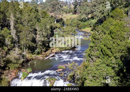 Dangar Falls Dorrigo, Bielsdown river in Dorrigo flowing into the Dangar Falls waterfall, New South Wales,Australia,May 2024 Stock Photo