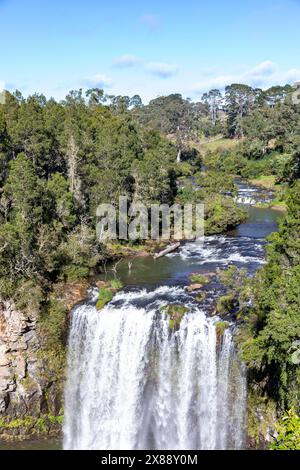 Dangar Falls Dorrigo, Bielsdown river in Dorrigo flowing into the Dangar Falls waterfall, New South Wales,Australia,May 2024 Stock Photo