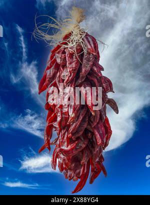 Red chili Ristras are peppers strung up to dry in the Southern New Mexico culture, ready to add to local cuisines on a white background Stock Photo