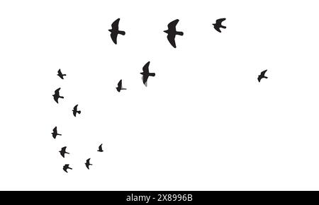 Flying Birds Vector And Illustration. Stock Vector