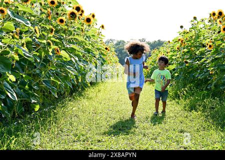 Two children running through a sunflower field on a sunny day. Stock Photo