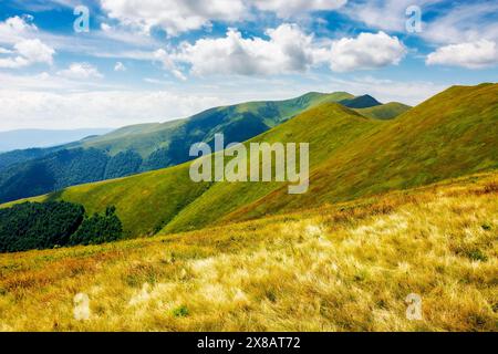 scenery with grassy slopes of borzhava ridge. scenic carpathian mountain landscape with stoj peak in the distance. popular travel destination of trans Stock Photo