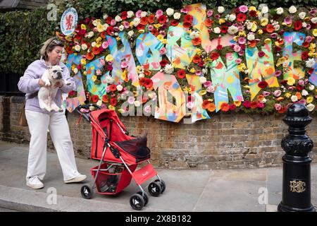 A woman and her British Bulldog are next to a floral display outside Christ Church & Holy Trinity School during the annual 'Chelsea in Bloom' festival, where local retailers on Sloane Street, Sloane Square and the Kings Road area, dress the exteriors of their businesses with floral arrangements that are popular with passers-by, on 23rd May 2024, in London, England. Stock Photo