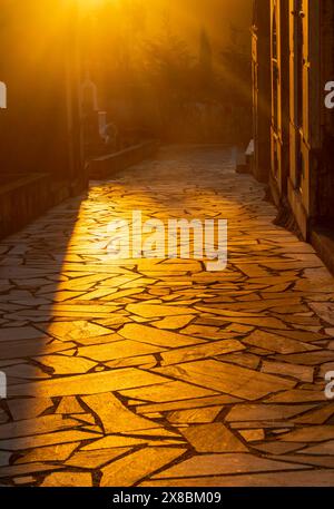 Orange sunlight on the paved ground of a cemetery Stock Photo