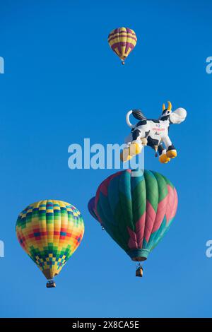 Colorful hot air balloons flying at the 2025 Albuquerque Balloon Festival