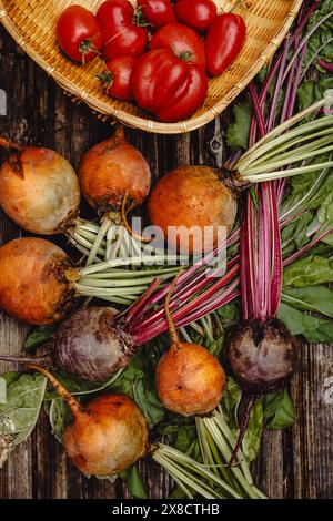 Organic vegetables.. Colorful rainbow beets and tomatoes in the basket . Golden, pink and purple beets on the open air. Stock Photo