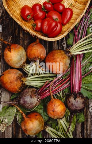 Organic vegetables. Colorful rainbow beets and tomatoes in the basket . Golden, pink and purple beets on the open air. Stock Photo