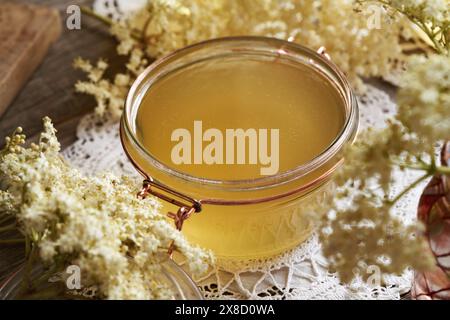 Elderberry flower syrup in a glass jar on a table with fresh Sambucus nigra flowers Stock Photo