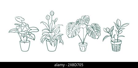 Set Exotic plant in a pot. Ficus, Syngonium, Monstera, Spathiphyllum. Home floriculture, house plants, hobby. Botanical Outline illustrations in hand Stock Vector