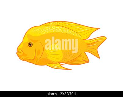 Cichlasoma citrinellum. Icon vector illustration of tropical fish on white background, aquarium animals in flat style. Cichlid family. pet care. For s Stock Vector