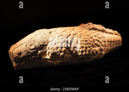 Aztec carving representing Cipactli, The Sea monster or  Earth monster; 15th century aztec artefact from Tenochtitlan, Templo Mayor, Mexico City Stock Photo