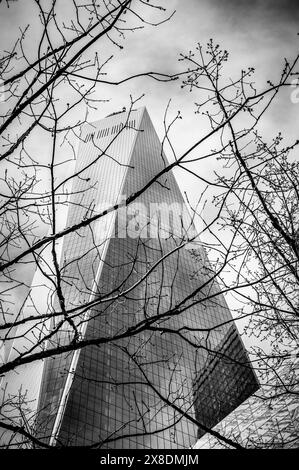 NYC's towering One World Trade Center pierces the sky.  A symbol of resilience for travel and architecture content. Some branches of a tree in view. Stock Photo