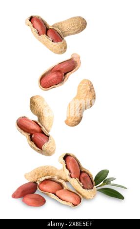 Fresh unpeeled peanuts falling on white background Stock Photo