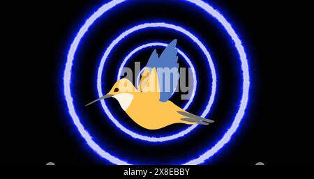 A yellow and blue bird flying through blue concentric circles Stock Photo