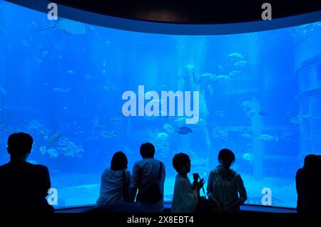 The Osaka Kaiyukan Aquarium, Osaka Japan JP Stock Photo