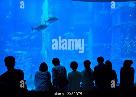 The Osaka Kaiyukan Aquarium, Osaka Japan JP Stock Photo