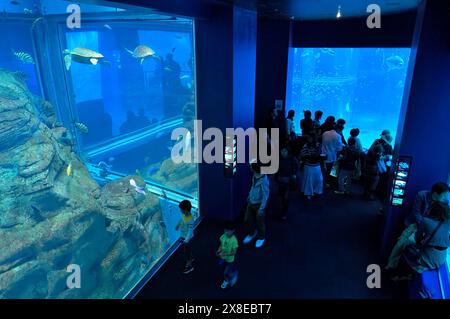 The Osaka Kaiyukan Aquarium, Osaka Japan JP Stock Photo