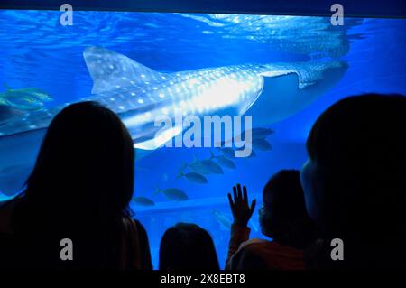The Osaka Kaiyukan Aquarium, Osaka Japan JP Stock Photo