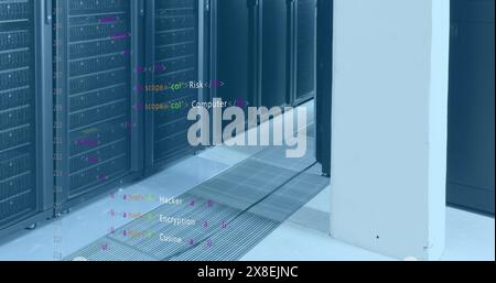 Image of computer language over data server racks Stock Photo