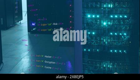 Image of programming language over data server racks Stock Photo