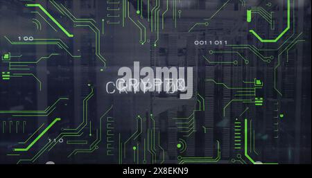 Image of binary codes and crypto text with circuit board pattern over data server systems Stock Photo