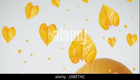 Image of leaves falling over pumpkins Stock Photo