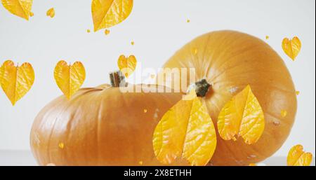 Image of leaves falling over pumpkins Stock Photo