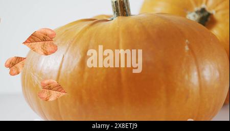Image of leaves falling over pumpkins Stock Photo