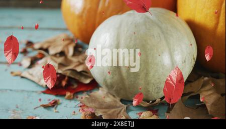 Image of leaves falling over pumpkins Stock Photo