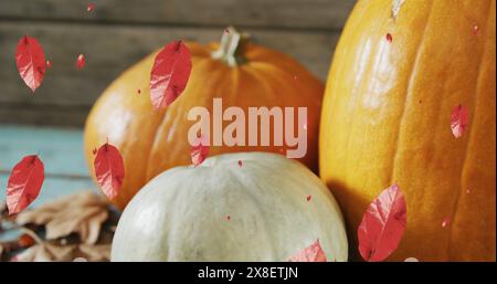 Image of leaves falling over pumpkins Stock Photo