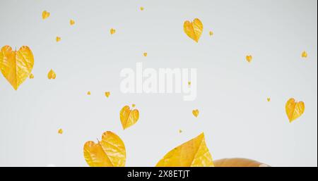 Image of leaves falling over pumpkins Stock Photo