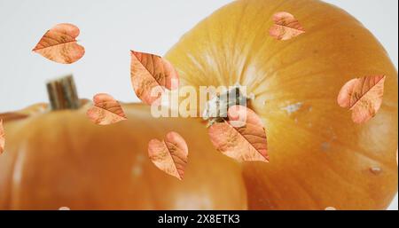 Image of leaves falling over pumpkins Stock Photo