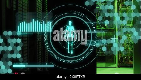 Image of data processing and skeleton walking over server room Stock Photo