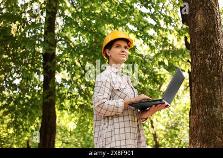 Forester in hard hat with laptop working in forest Stock Photo
