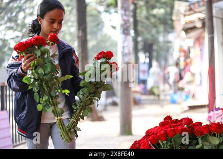 Addis Ababa, Ethiopia. 24th May, 2024. A woman works at a floral shop in Addis Ababa, the capital of Ethiopia, on May 24, 2024. Credit: Michael Tewelde/Xinhua/Alamy Live News Stock Photo