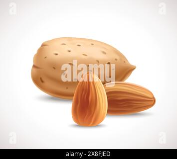 Almond nuts on white background Stock Vector