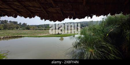 Thailand, Chang Mai, Long Neck village (Karen tribe), near the border with Burma Stock Photo