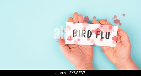 Bird flu virus outbreak, Avian influenza, infectious disease spreading to mammals and humans, sick animals Stock Photo