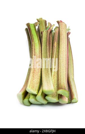 Fresh  green rhubarb stem isolated on white Stock Photo