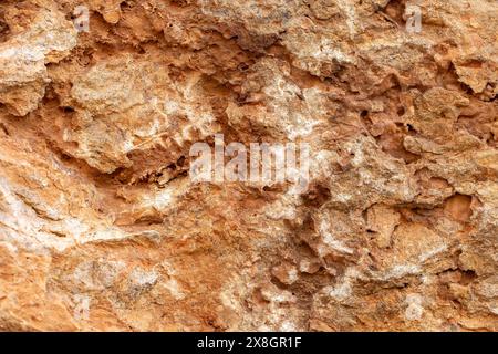 Vibrant Red Rock Surface Texture Background - Natural Geological Formation Stock Photo