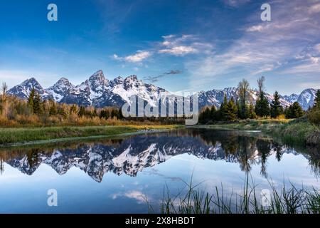 The snow-capped Teton mountains reflected in the Snake River during sunrise along Schwabacher Landing at Grand Teton National Park in Moran, Wyoming. Stock Photo