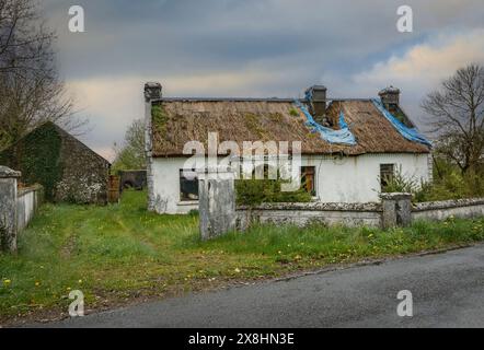 Delapidated and empty traditional Irish cottage with a thatched roof which has collapsed Stock Photo