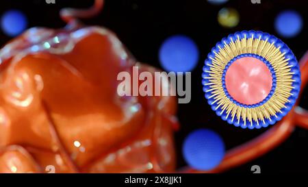 3d rendering of floating liposome is targeting cancer cells inside of body Stock Photo
