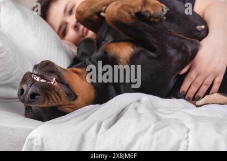 A young woman is sleeping in bed with her Doberman Pinscher dog. The woman is lying on her side, and the dog is curled up next to her. Both the woman Stock Photo