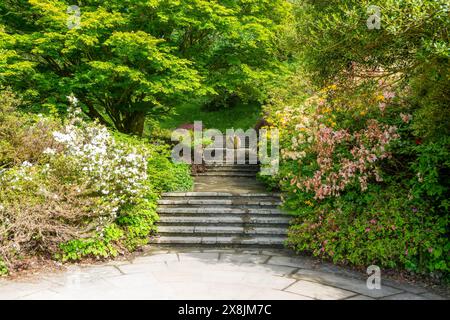 'Swan Fountain' sculpture by Willi Soukop 1950 in garden, Dartington Hall estate gardens, south Devon, England, UK Stock Photo