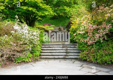 'Swan Fountain' sculpture by Willi Soukop 1950 in garden, Dartington Hall estate gardens, south Devon, England, UK Stock Photo