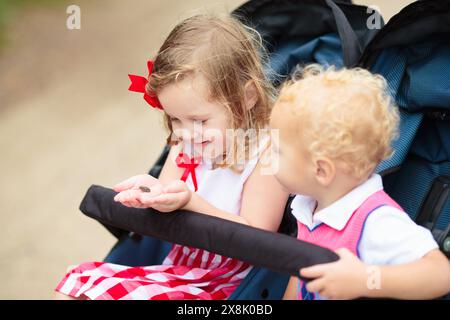 Kids catch a frog. Boy and girl looking at toad. Children and wild animals. Fun discovery on a walk in summer park. Toddler in double stroller. Stock Photo