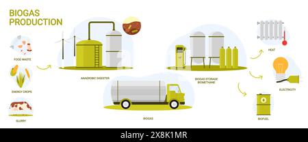 Biomass Fuel Electricity Generation Diagram illustration Stock Vector ...
