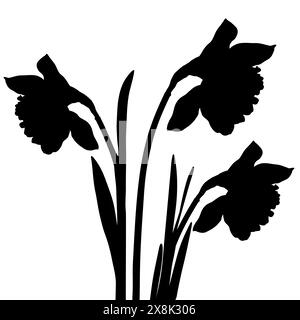 Daffodil or narcissus flower silhouettes. Blooming spring flowers vector illustration. Stock Vector